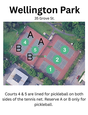 Court Layout