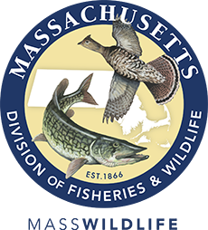 MassWildlife Logo